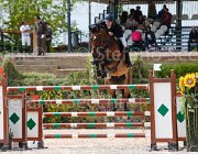 DI PALO BOLERO CampITA2013- S5 0749 : BOLERO VAN'T STENENPOORT, Campionati Italiani 2013, Cattolica, DI PALO ANIELLO, Horse Riviera Resort, foto di Stefano Secchi ©